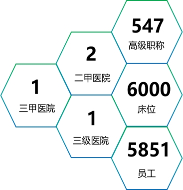 国药医疗健康产业有限公司-国药中原医院管理有限公司